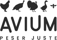 avium
